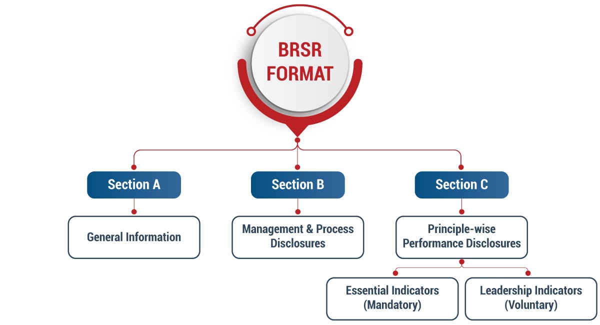 BRSR Reporting Format 