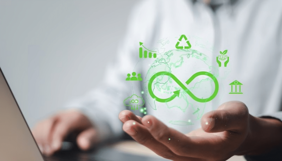 LCA Adoption in India: Sectoral Insights and Impacts